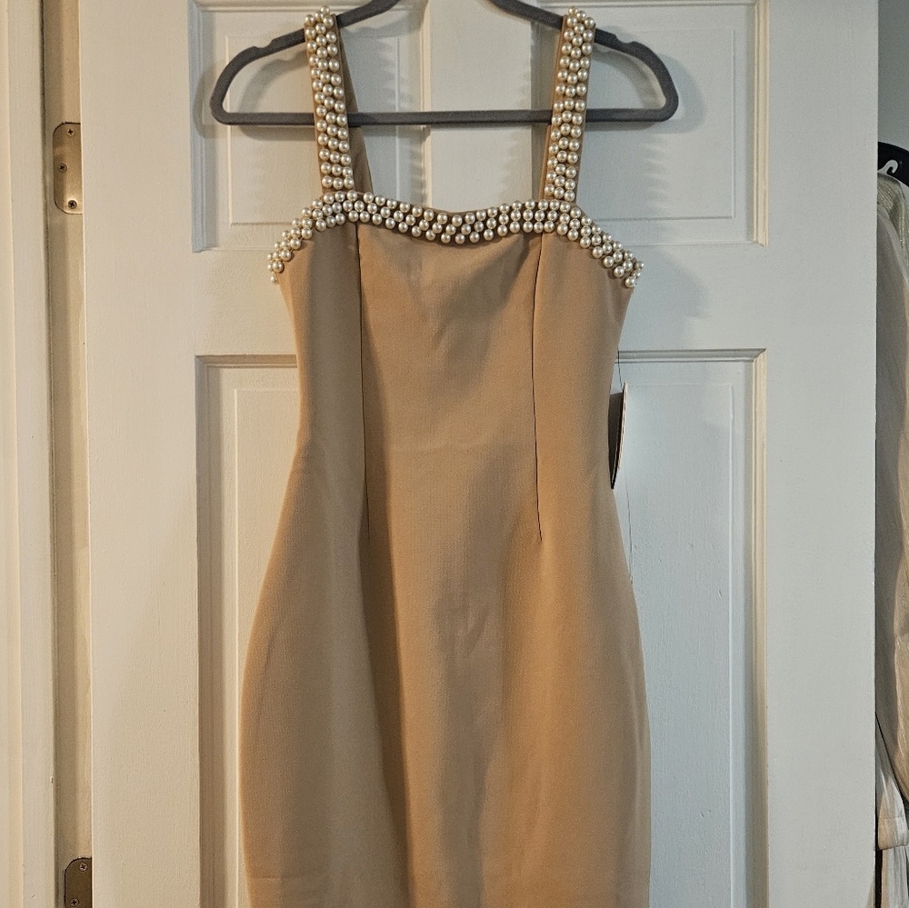 The Ultimate Muse Pearl Trim Midi Dress